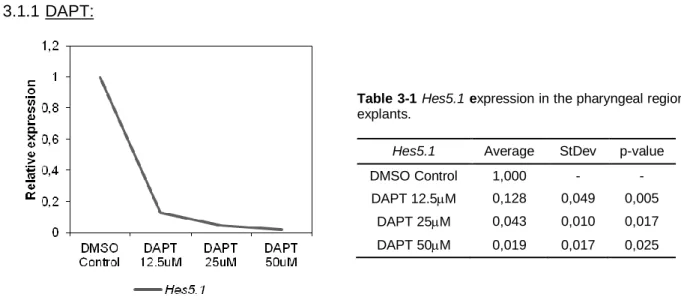 Table  3-1 Hes5.1 expression in the pharyngeal region  explants. 