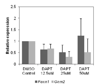 Table  3-2  Foxn1 (A) and Gcm2 (B) expression in the  pharyngeal region explants. 