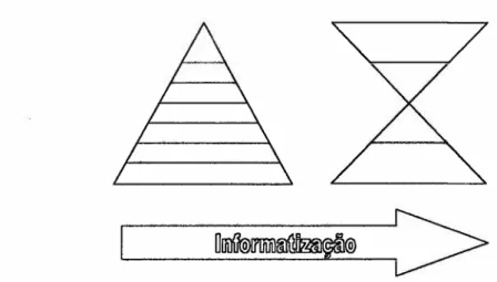 Figura Í-4: A estrutura hierárquica dentro das empresas (MEIRELLES, 1994)