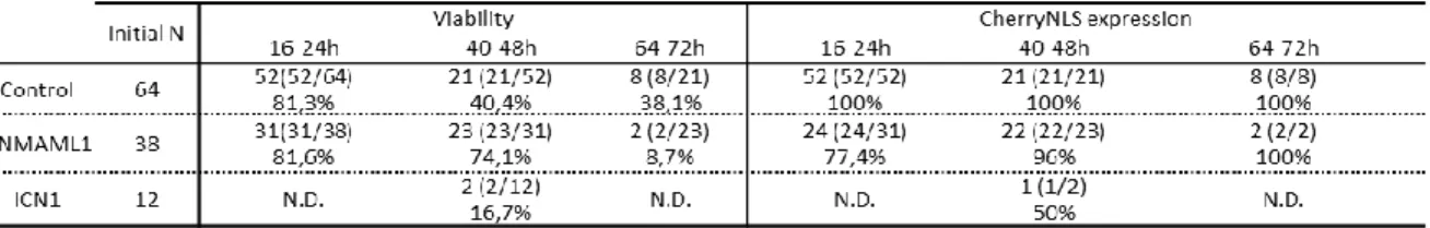 Table 1. Time course analysis of Viability and CherryNLS expression in the all experimental conditions  (Control,  DNMAML1  and  ICN1)  of  the  in  vivo  neural  tube  electroporation  at  the  three  distinct  time  points studied.