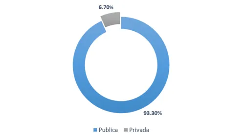 Figura 4.1: Percentagem de crianças do 1º ciclo do ensino básico do concelho de Évora no ano de 2019, por tipo de escola