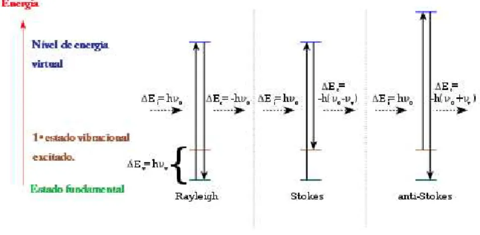 Figura  2.1:  Representação  esquemática  do  efeito  Raman  em  seus  3  processos,  da  esquerda  à  direita:espalhamento Rayleigh, Stokes e anti-Stokes [20] 