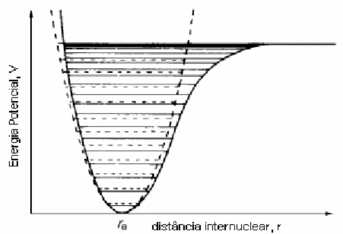 Figura 2.2: As linhas inteiras mostram a curva de energia potencial e os níveis de energia ocupáveis por  uma molécula diatômica