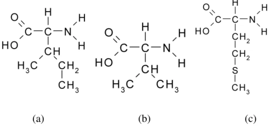 Figura 3.3: Exemplos de aminoácios apolares; (a) Isoleucina; (b) Valina; (c) Metionina 