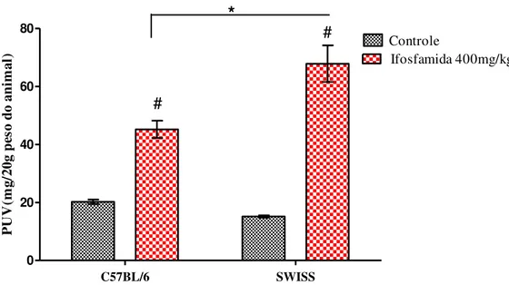 Figura  12.  Avaliação  do  peso  úmido  vesical  (PUV)  entre  as  linhagens  de  camundongos fêmeas Swiss e C57BL/6 na cistite hemorrágica por ifosfamida 
