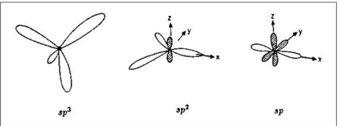 Figura 1: Esquema mostrando as poss´ıveis hibridiza¸c˜oes do ´atomo de carbono. sp 3 , sp 2 e sp [1].