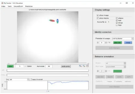 Figure 2.4.: Visualizer function. This function allows the correction of flies’ identity in terms of sexes