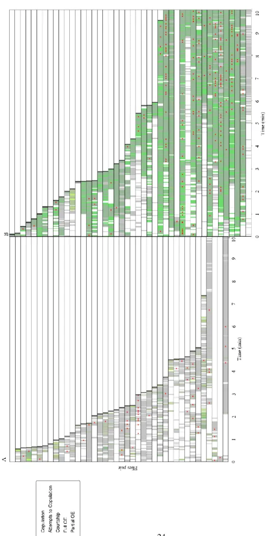 Figure 3.1.: Temporal dynamics of the behavioural interactions between a wild-type male and a virgin female in the first 10 minutes of the video