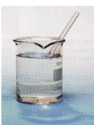 Figura 3.36 - Bastão de vidro imerso em tetracloroetlileno (C 2 Cl 4 ), ambos têm a mesma  refringência