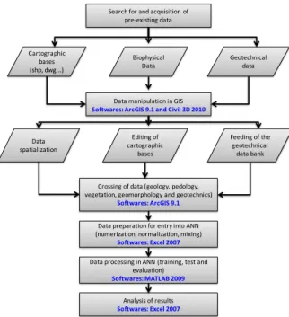 Fig. 1. Schematic representation showing a neuron network. 