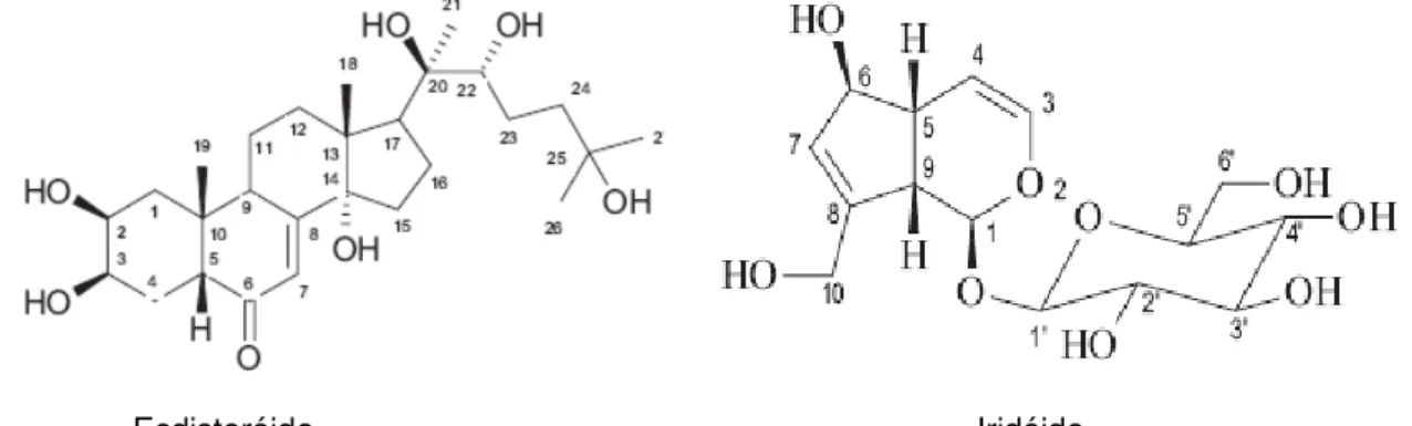 Figura 13 -  Ecdisteróide e iridóide isolados do extrato metanólico da casca do caule  de Vitex gardneriana 