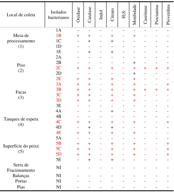Tabela  2  -  Resultados  dos  testes  de  identificação  de  Pseudomonas  com  todos  os  isolados  codificados