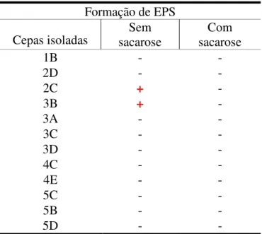 Tabela  4  -  Resultado  da  formação  de  exopolissacarídeo  (EPS)  pela  cepa  bacteriana  em  ágar  vermelho congo (AVC), com e sem adição de sacarose