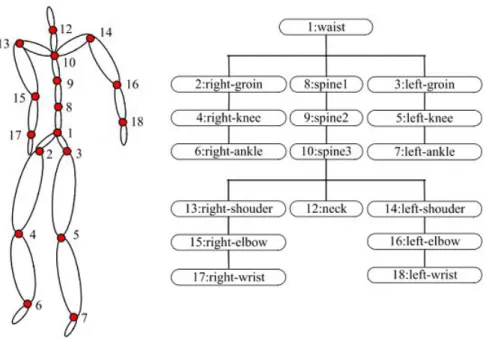 Figura 2.1: Modelo articulado e correspondente ligação entre as suas articulações [GAO07]