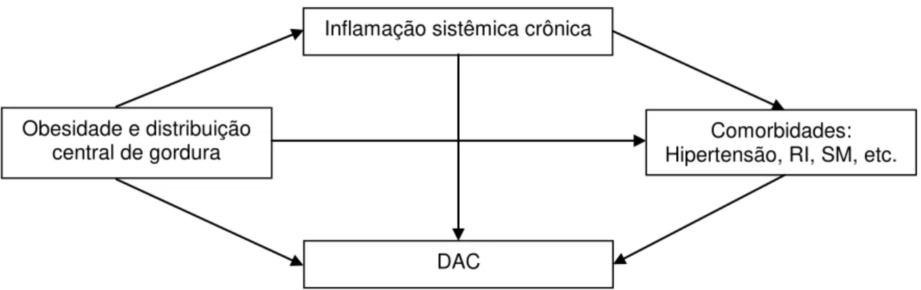 Figura  01  –  Esquema  ilustrativo  da  integração  entre  inflamação,  obesidade,  comorbidades metabólicas e DAC 
