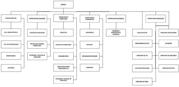 Figura 13: Organograma atual da organização. Fonte: Autor 