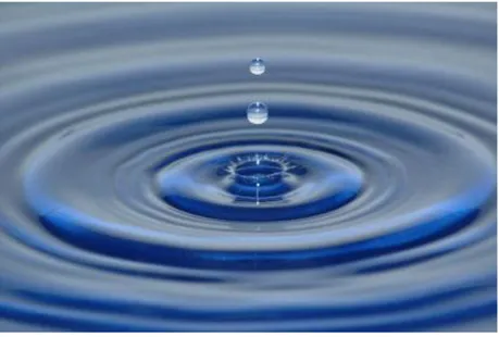 Figura 1. Gota d‟água na água 