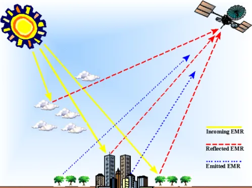 Figure 2.1 Data collection by remote sensing (from http://www.cla.sc.edu/ 