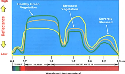 Figure 2.3 Spectral reflectance of vegetation (from http://www.csc.noaa.gov/ 