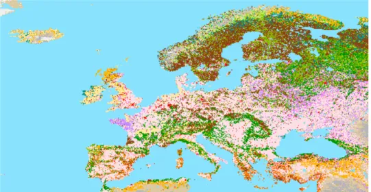 Figure 3.7 The updated version of the GLC2000 map for the European  Window. (http://www-gvm.jrc.it/glc2000) 