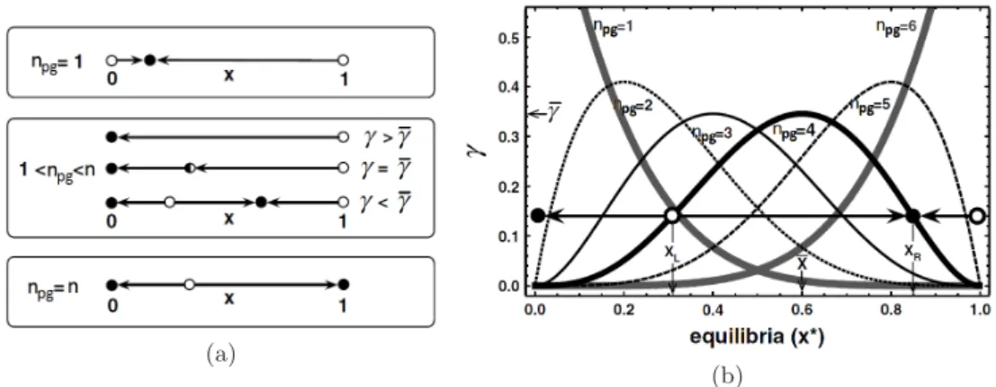 Figure 4.2: Effect of risk – dynamical scenarios for finite populations (a) Classification of all possible dynamical scenarios when evolving an  in-finitely large population of C’s and D’s as a function of γ , n pg and n