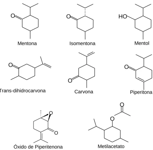 Figura 5 - Exemplos de substâncias terpenoícas, presentes em espécies de plantas do  Gênero Mentha da família Lamiaceae