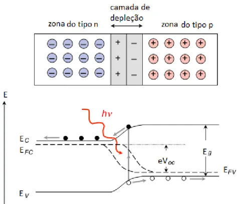 Figura 1.2: Topo: Esquema de junção p-n em equilíbrio. Em baixo: Diagrama de bandas de energia de uma junção p-n sob iluminação