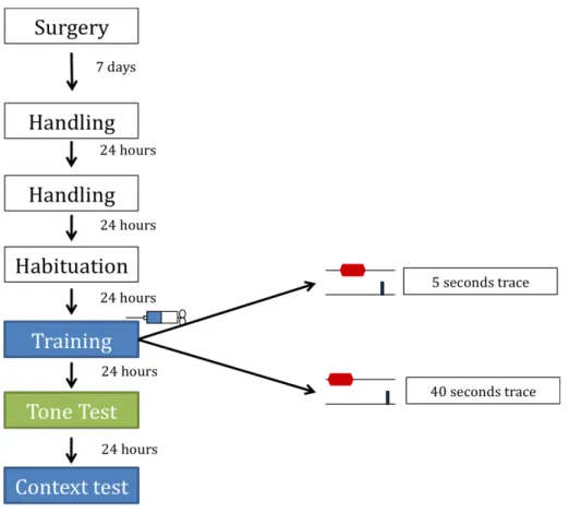Figure 1 represents the experimental design. 
