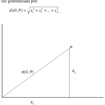 Figura  (3.1) –  Distância  Euclidiana  entre  um  ponto  P=(x 1 ,x 2 )  e  a  origem  O=(0,0),  a  partir  do  teorema de Pitágoras