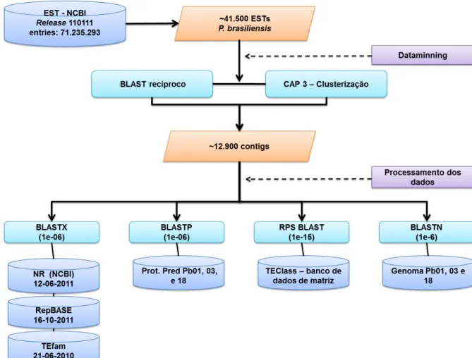 Figura 4  –  Representação esquemática das análises computacionais para  identificação de potenciais elementos retrotransponíveis