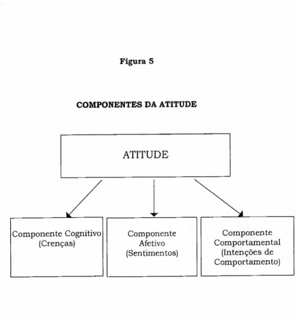 Figura 5 COMPONENTES DA ATITUDE ATITUDE rqponmlkjihgfedcbaZYXWVUTSRQPONMLKJIHGFEDCBA / zyxwvutsrqponmlkjihgfedcbaZYXWVUTSRQPONMLKJIHGFEDCBA Componente Cognitivo (Crenças) ComponenteAfetivo (Sentimentos) Componente Comportamental(Intenções de Comportamen to