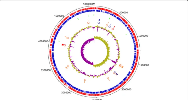 Fig. 1 Circular representation of Serratia sp. LCN16. From the inner- to the outermost circle: circle 1, GC skew (positive GC skew in green and negative GC skew in purple); circle 2, GC plot; circle 3, predicted unique genomic regions of LCN16 known as gen
