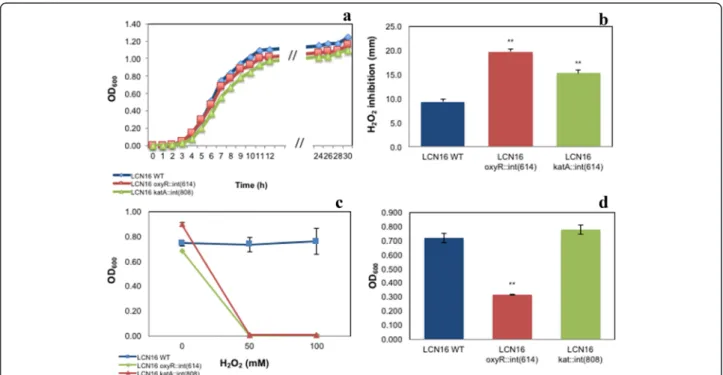 Fig. 4 Characterization of H 2 O 2 -sensitive Serratia sp. LCN16 (oxyR::int(614) and katA::int(808)) and resistant Serratia sp