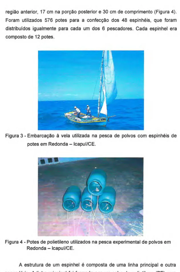 Figura 3 - Embarcação à vela utilizada na pesca de polvos com espinhéis de  potes em Redonda — lcapuí/CE