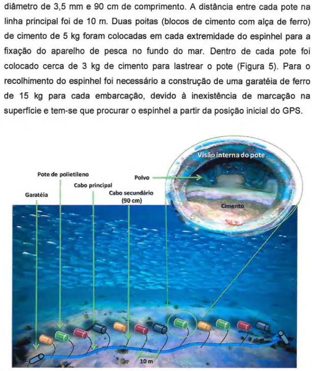 Figura 5 - Representação esquemática do espinhei de potes utilizado na pesca  experimental de polvos em Redonda — Icapuí/CE