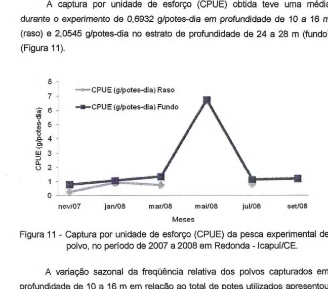 Figura 11 - Captura por unidade de esforço (CPUE) da pesca experimental de  polvo, no período de 2007 a 2008 em Redonda - Icapuí/CE