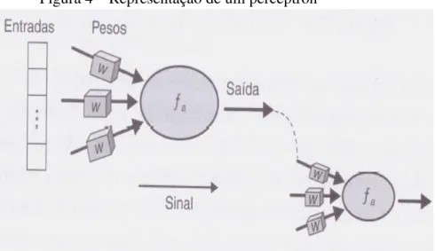 Figura 4 – Representação de um perceptron 