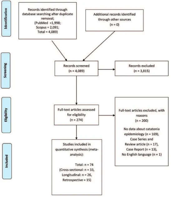 Fig. 1.  PRISMA flowchart.