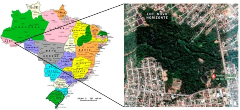 Figura  1  –  Localización  del  Parque  Ambiental  “HortoFlorestal”  en  Rio  Branco,  Acre 