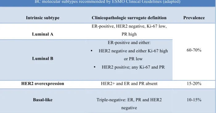 Table 1. BC molecular subtypes recommended by ESMO Clinical Guidelines  Adapted from (5, 8)