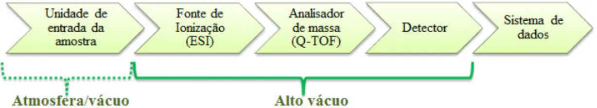 Figura  9.  Esquema  simplificado  das  seções  do  espectrômetro  de  massa  acoplado  ao  UPLC  usado neste trabalho