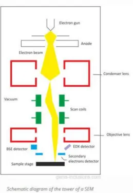 Figura 11 Sistema MEV/EED combinado 