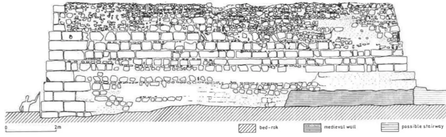 Fig.  5  - South  fa~ade  of the  Roman  temple  (drawing  by  F.  T.  Raquel) . 