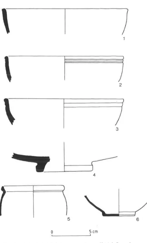 Fig.  13  - Archaeological  finds  from  the  temple  area.  N.&#34;  1-4,  Campanian  ware; 
