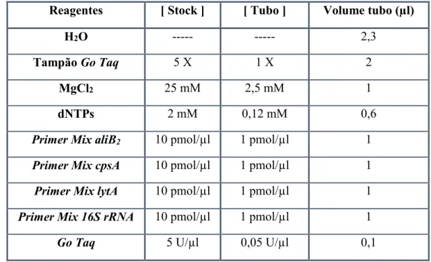 Tabela 2-2: Volumes de reagente a utilizar na reação de PCR convencional para deteção de estirpes  NTPn