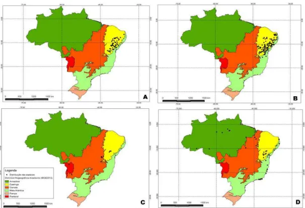 Figura 3. Distribuição de Capparaceae entre os domínios fitogeográficos brasileiros.  A  -  Colicodendron  yco,  B  -  Neocalyptrocalyx  longifolium,  C  -  Cynophalla 