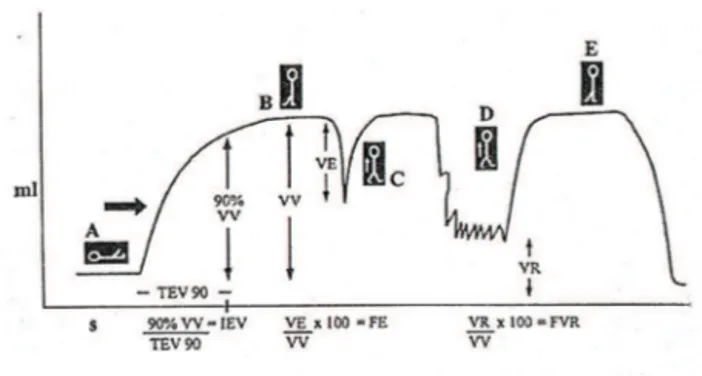 Figura 1 - Exemplo de A) curva normal e B) as posições das