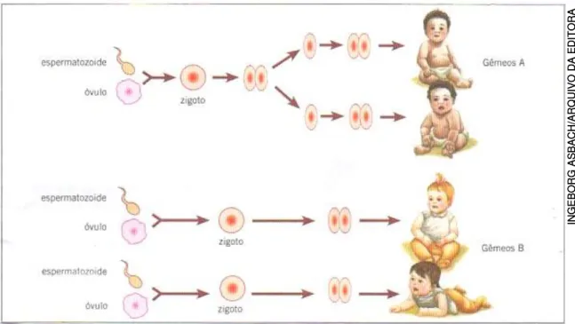 Figura 9 -  “ Casais de gêmeos idênticos e fraternos ” .  Fonte: (LD 2, 2009, p. 58). 