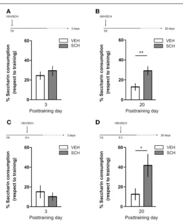 FIGURE 4 | D1/D5 receptors activity in mPFC early and late after training determines CTA LTM persistence