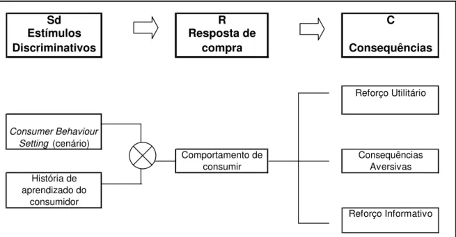 Figura 1: Modelo na Perspectiva Comportamental proposto por Foxall (adaptado de Foxall,  1998)  